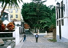 Plaza Alameda in Santa Cruz : Palme, Fußgänger